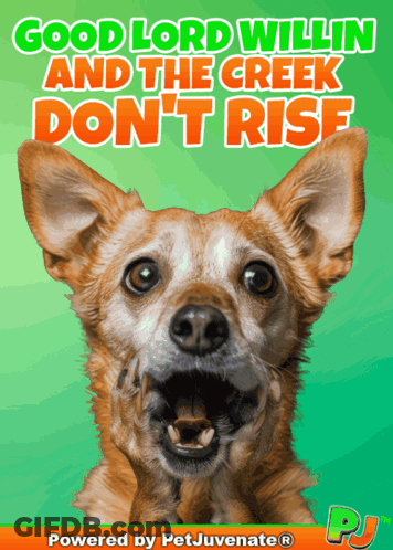 A Picture Of A Dog With The Words Good Lord Willin And The Creek Don T Rise GIF
