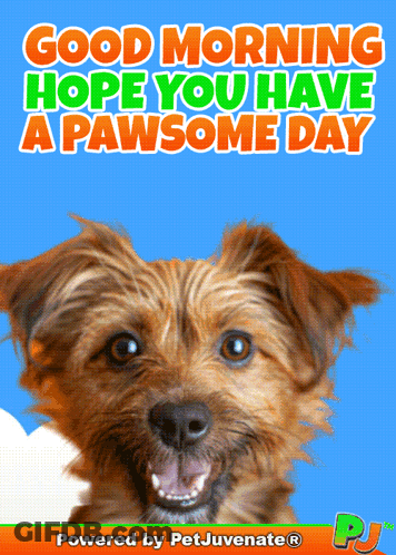 A Picture Of A Dog With The Words Good Morning Hope You Have A Pawsome Day Below It GIF