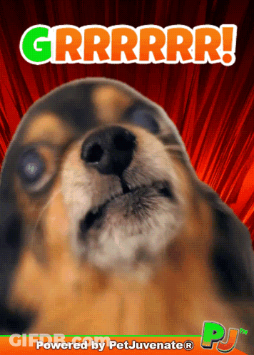 A Picture Of A Dog With The Words Grrrrrr On It GIF