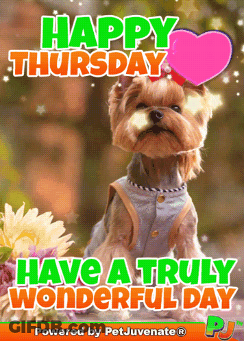 A Picture Of A Dog With The Words Happy Thursday Have A Truly Wonderful Day Below It GIF