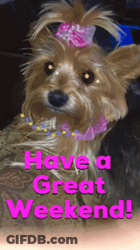 A Picture Of A Dog With The Words Have A Great Weekend Written On It GIF