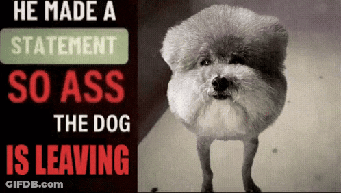 A Picture Of A Dog With The Words He Made A Statement So Ass The Dog Is Leaving GIF