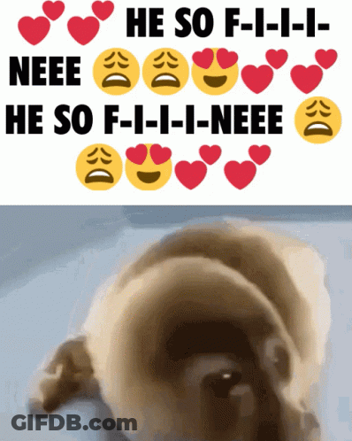 A Picture Of A Dog With The Words He So F-I-I-I-Neee GIF