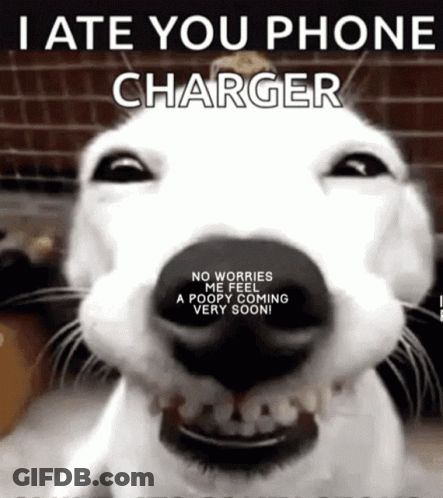 A Picture Of A Dog With The Words " I Hate You Phone Charger " Above It GIF