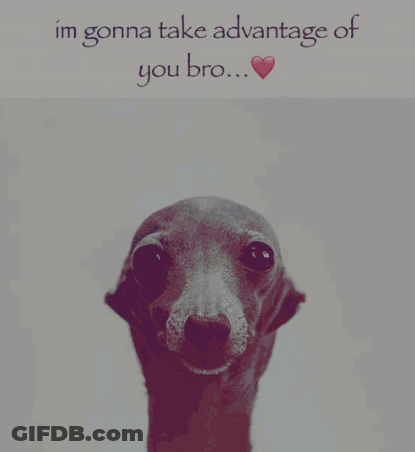 A Picture Of A Dog With The Words Im Gonna Take Advantage Of You Bro Written Above It GIF