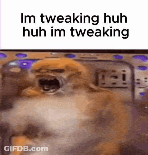 A Picture Of A Dog With The Words Im Tweaking Huh Huh Im Tweaking On The Bottom GIF