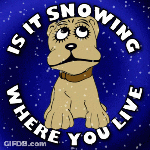 A Picture Of A Dog With The Words " Is It Snowing Where You Live " Around It GIF