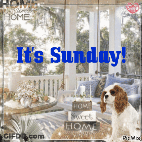 A Picture Of A Dog With The Words It 'S Sunday Written On It GIF