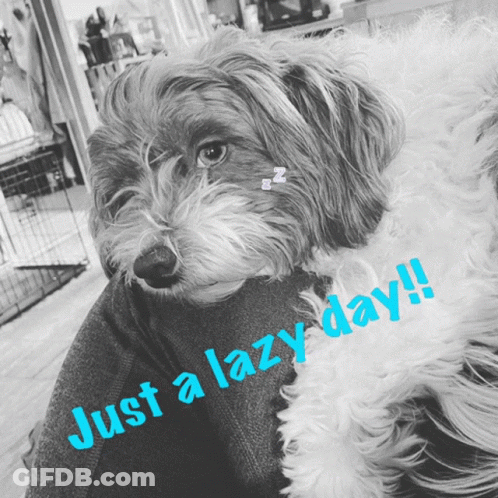 A Picture Of A Dog With The Words Just A Lazy Day Written Below It GIF