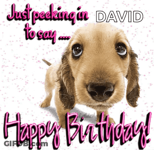 A Picture Of A Dog With The Words " Just Peeking In David To Say Happy Birthday " GIF