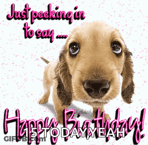 A Picture Of A Dog With The Words Just Peeking In To Say Happy Birthday GIF