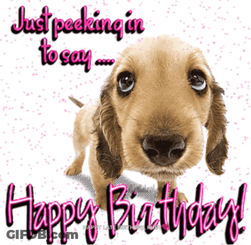 A Picture Of A Dog With The Words " Just Peeking In To Say Happy Birthday " GIF
