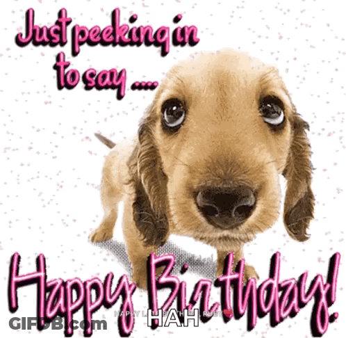 A Picture Of A Dog With The Words " Just Peeking In To Say Happy Birthday " GIF