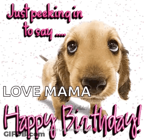 A Picture Of A Dog With The Words " Just Peeking In To Say Love Mama Happy Birthday " GIF