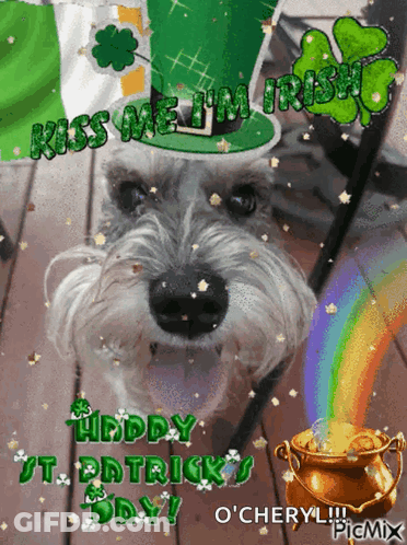 A Picture Of A Dog With The Words Kiss Me I 'M Irish Written On It GIF
