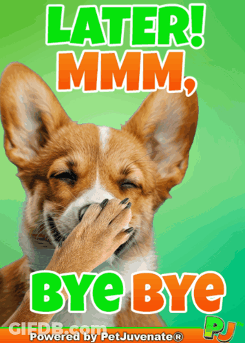 A Picture Of A Dog With The Words Later Mmmm Bye Bye Behind It GIF