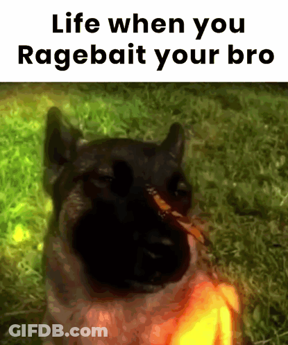 A Picture Of A Dog With The Words Life When You Ragebait Your Bro On The Bottom GIF