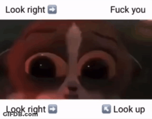 A Picture Of A Dog With The Words " Look Right " And " Fuck You " Next To It GIF