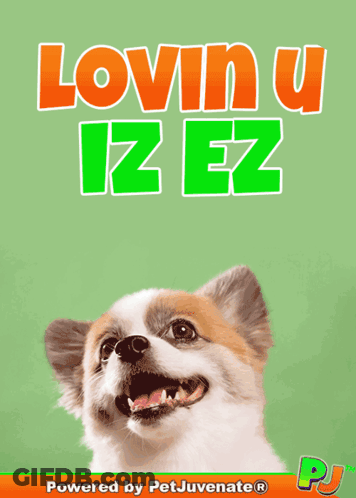 A Picture Of A Dog With The Words Lovin U Iz Ez On It GIF