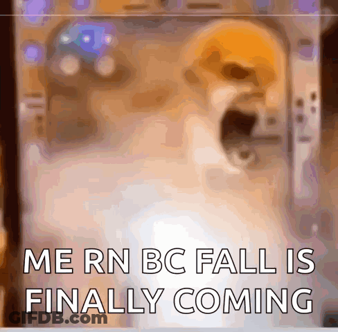 A Picture Of A Dog With The Words Me Rn Bc Fall Is Finally Coming On It GIF