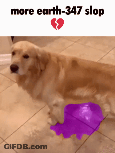 A Picture Of A Dog With The Words More Earth-347 Slop On The Top GIF