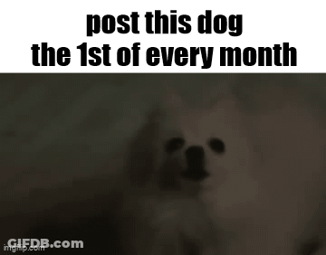A Picture Of A Dog With The Words `` Post This Dog The 1St Of Every Month '' Written Above It . GIF