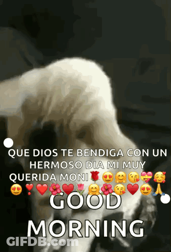 A Picture Of A Dog With The Words " Que Dios Te Bendiga Con Un Hermoso Dia Mi Muy Querida Moni Good Morning " GIF