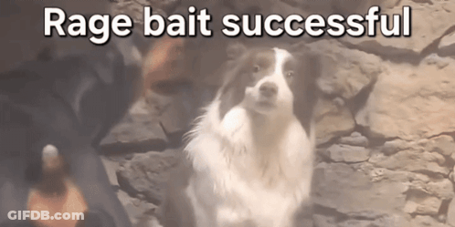 A Picture Of A Dog With The Words Rage Bait Successful GIF