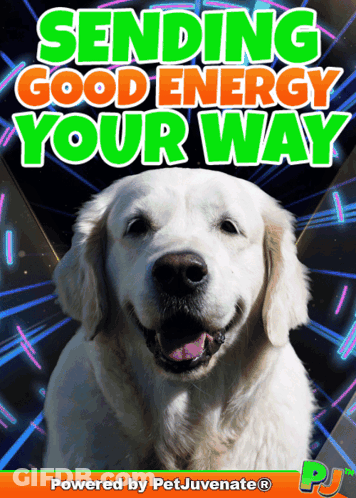 A Picture Of A Dog With The Words Sending Good Energy Your Way Above It GIF