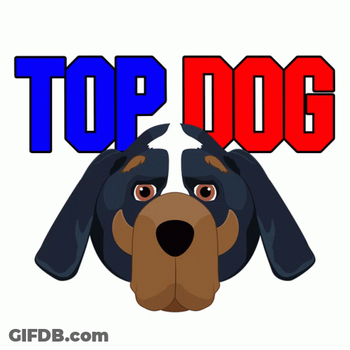 A Picture Of A Dog With The Words Top Dog Below It GIF