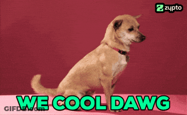 A Picture Of A Dog With The Words We Cool Dawg On It GIF