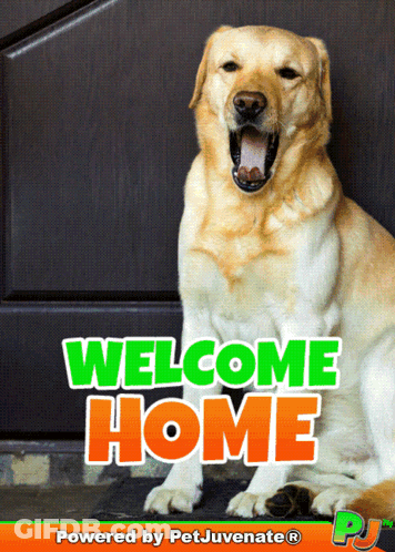 A Picture Of A Dog With The Words Welcome Home Written On It GIF