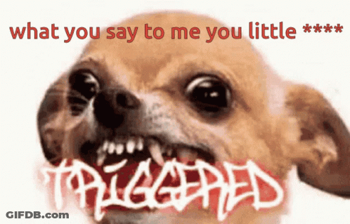 A Picture Of A Dog With The Words What You Say To Me You Little Triggered On It GIF