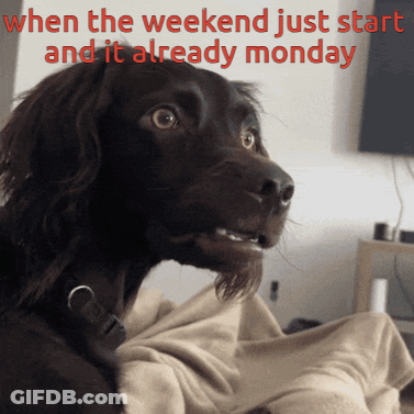 A Picture Of A Dog With The Words When The Weekend Just Start And It Already Monday GIF