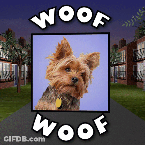 A Picture Of A Dog With The Words Woof Woof On It GIF