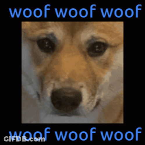 A Picture Of A Dog With The Words Woof Woof Woof Above It GIF