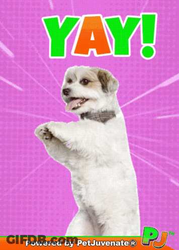 A Picture Of A Dog With The Words Yay Written On It GIF