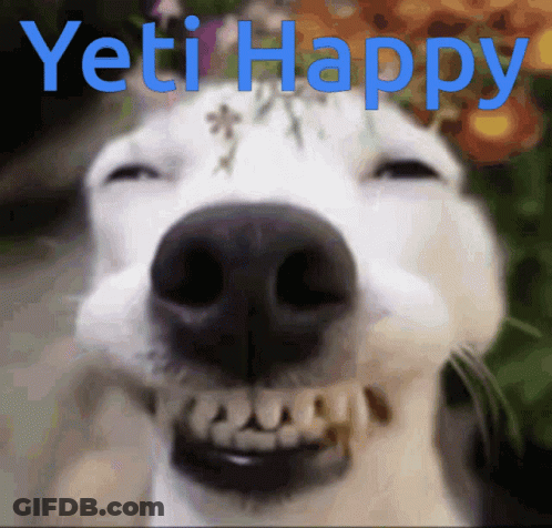 A Picture Of A Dog With The Words Yeti Happy Written On It GIF
