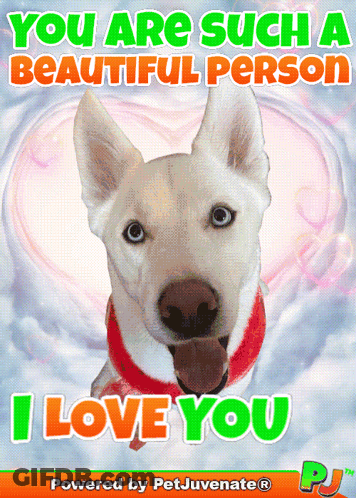 A Picture Of A Dog With The Words " You Are Such A Beautiful Person " GIF