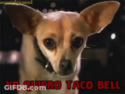 A Picture Of A Dog With Yo Quiero Taco Bell Written In Red GIF