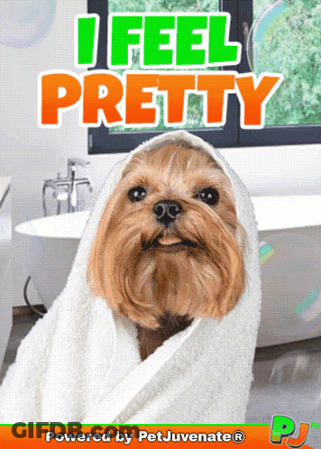 A Picture Of A Dog Wrapped In A Towel With The Words I Feel Pretty Above It GIF