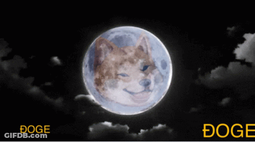 A Picture Of A Doge On The Moon With The Word Doge Below It GIF
