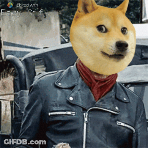 A Picture Of A Doge Wearing A Leather Jacket And Scarf GIF