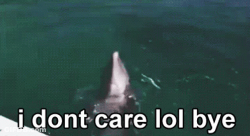 A Picture Of A Dolphin Jumping Out Of The Water With The Words I Dont Care Lol Bye Below It GIF