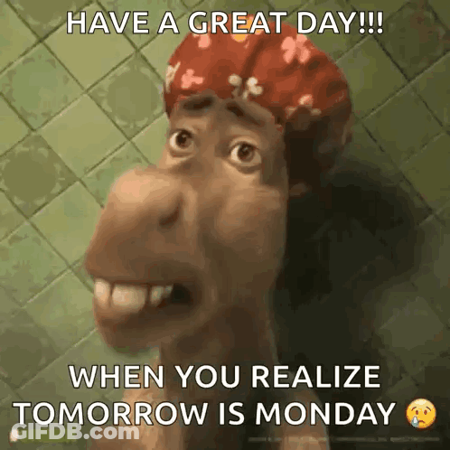 A Picture Of A Donkey With A Shower Cap That Says Have A Great Day !!! When You Realize Tomorrow Is Monday GIF