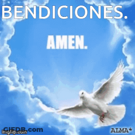 A Picture Of A Dove With The Words Bendiciones Amen GIF