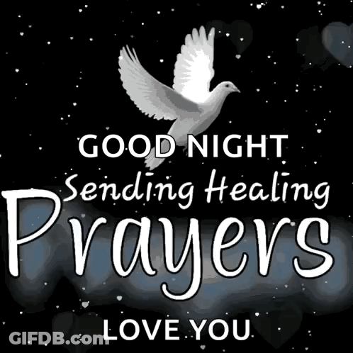 A Picture Of A Dove With The Words Good Night Sending Healing Prayers Love You . GIF