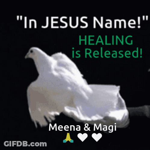 A Picture Of A Dove With The Words " In Jesus Name " GIF