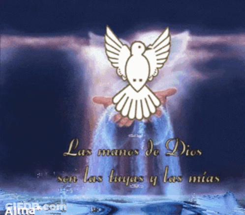 A Picture Of A Dove With The Words " Las Manos De Dios Son Las Tuyas Y Las Mia " GIF
