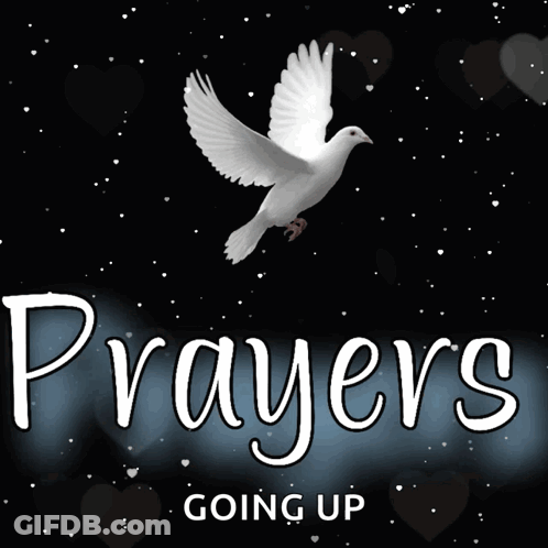 A Picture Of A Dove With The Words Prayers Going Up Underneath It GIF